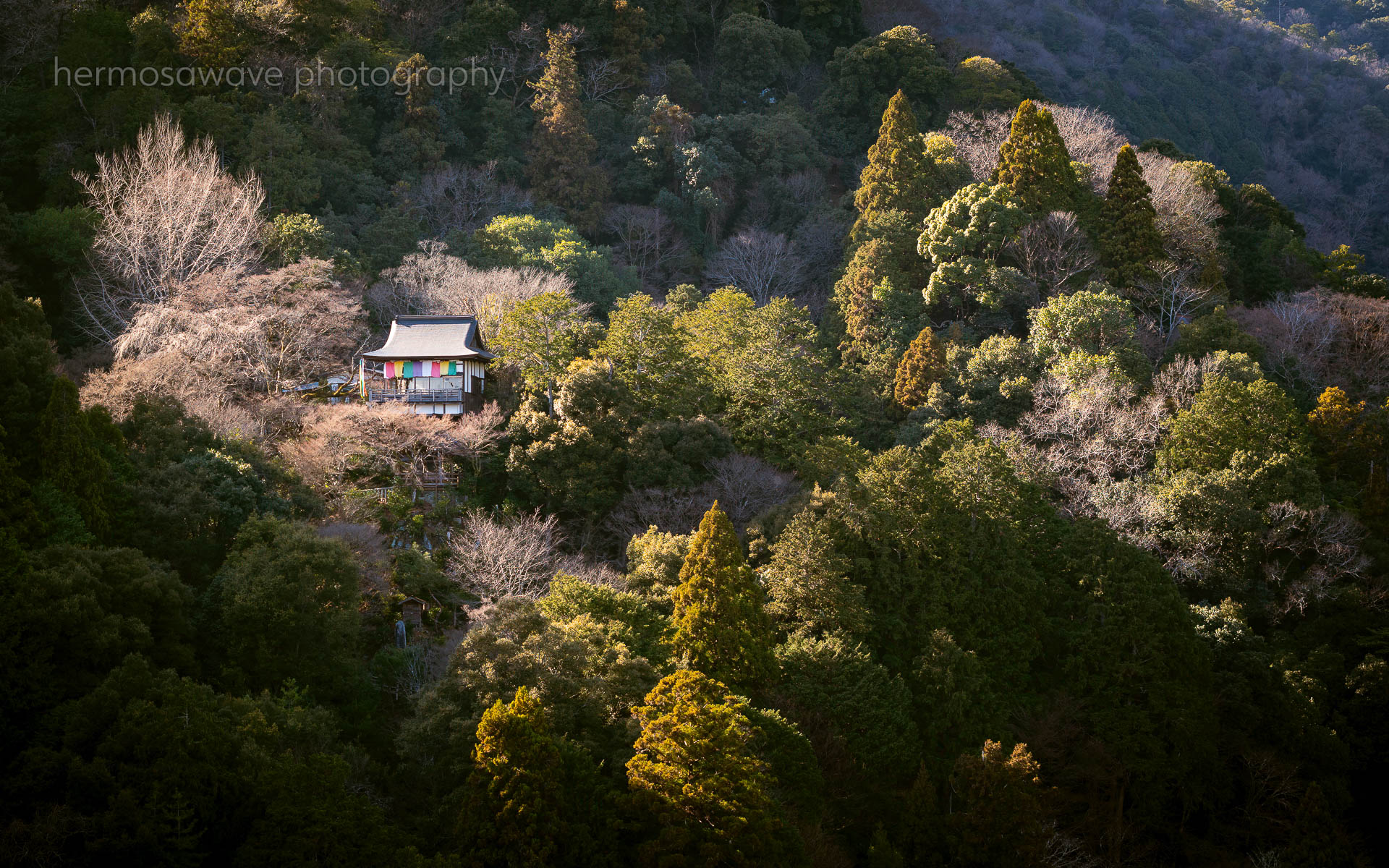 Senko-ji・千光寺