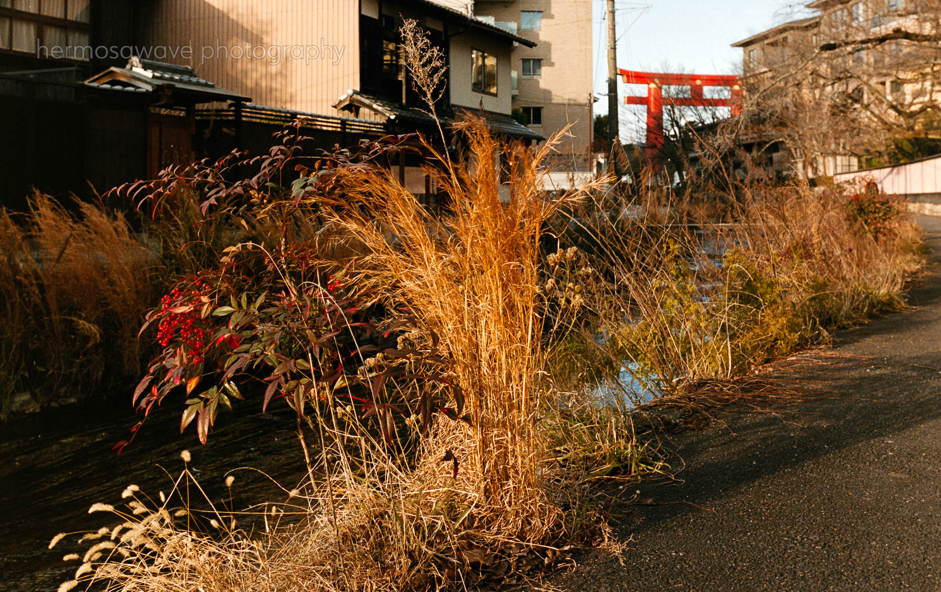 Shirakawa River・白川筋