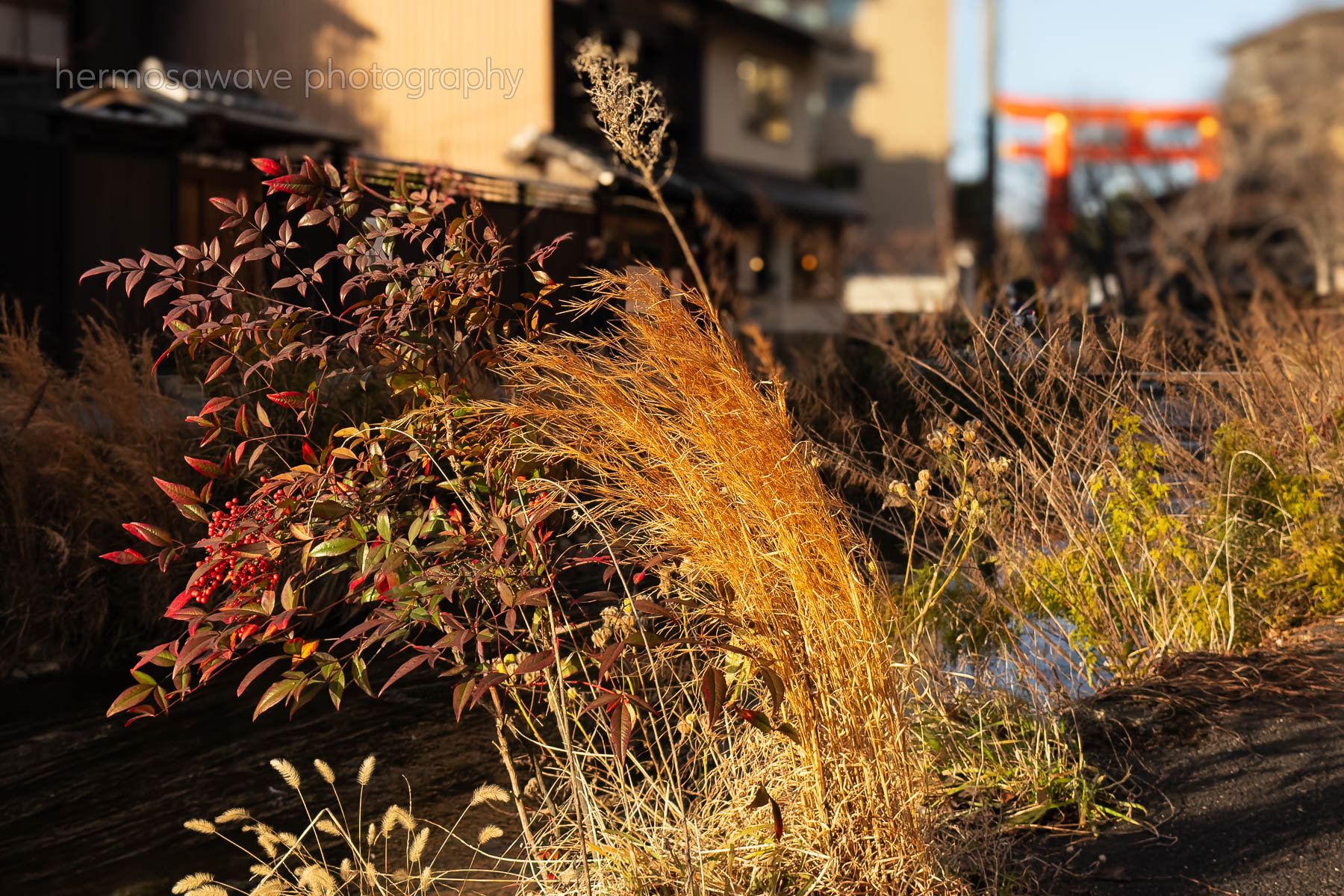 Shirakawa River・白川筋