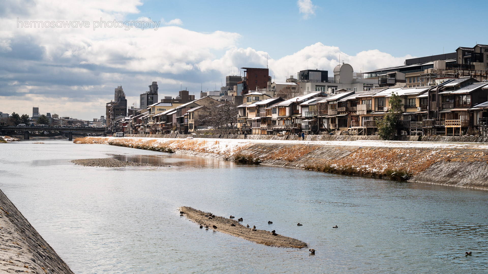 Kamogawa River・鴨川