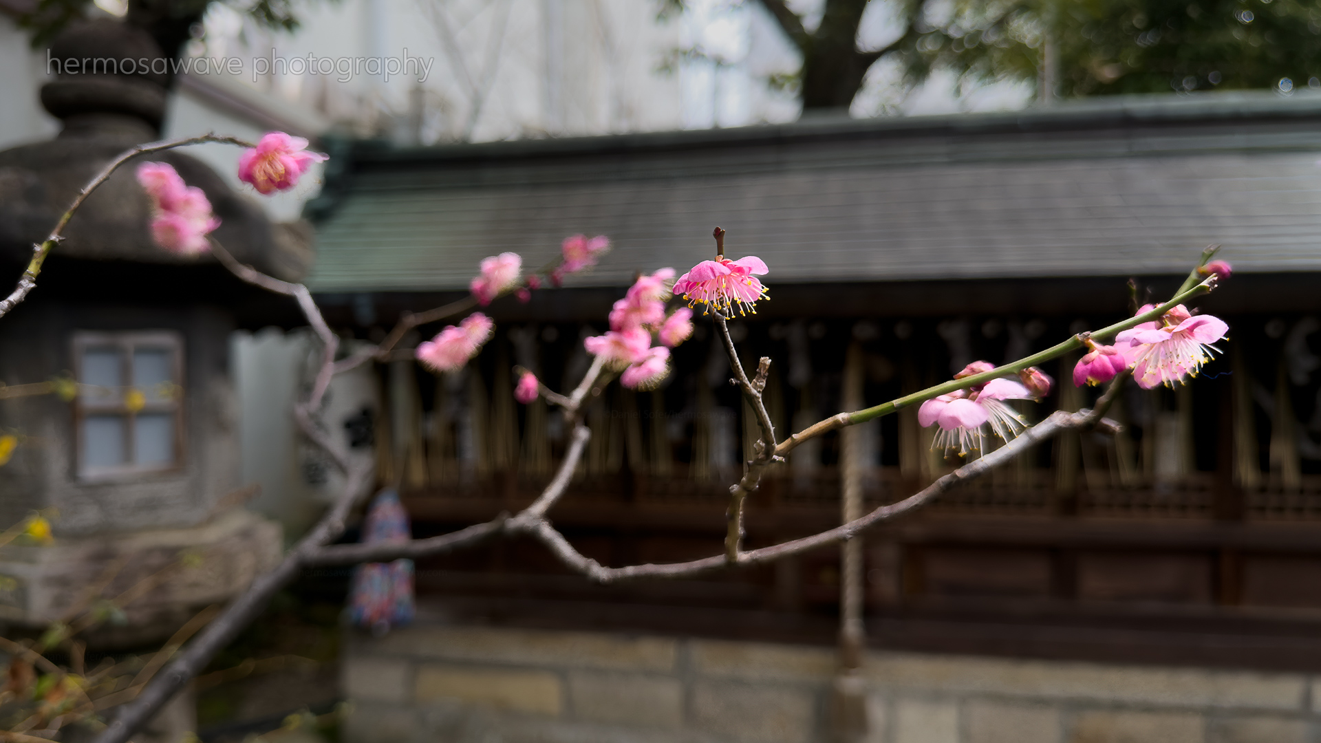 Nishiki Tenmangu・錦天満宮
