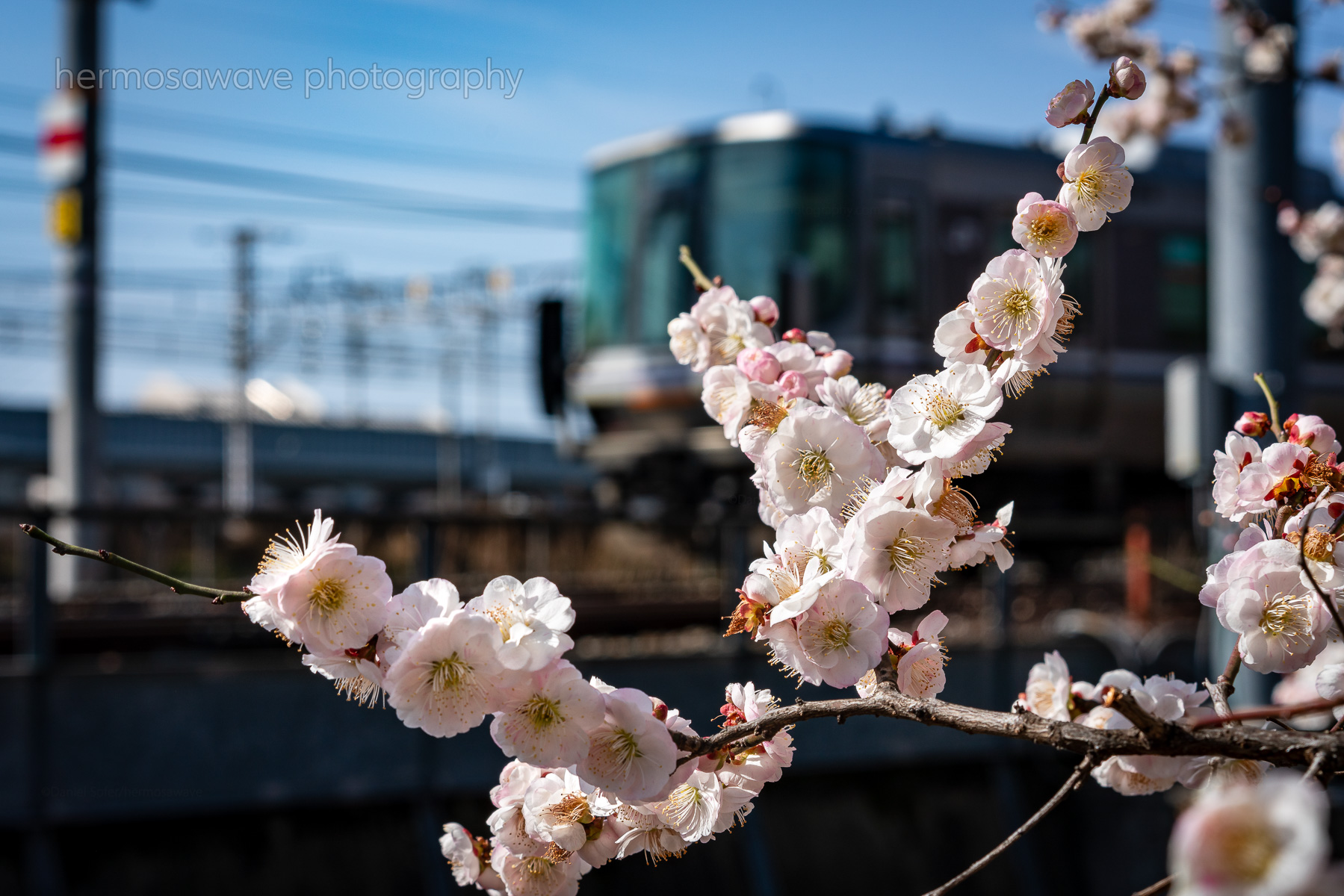Umekoji Park・梅小路公園