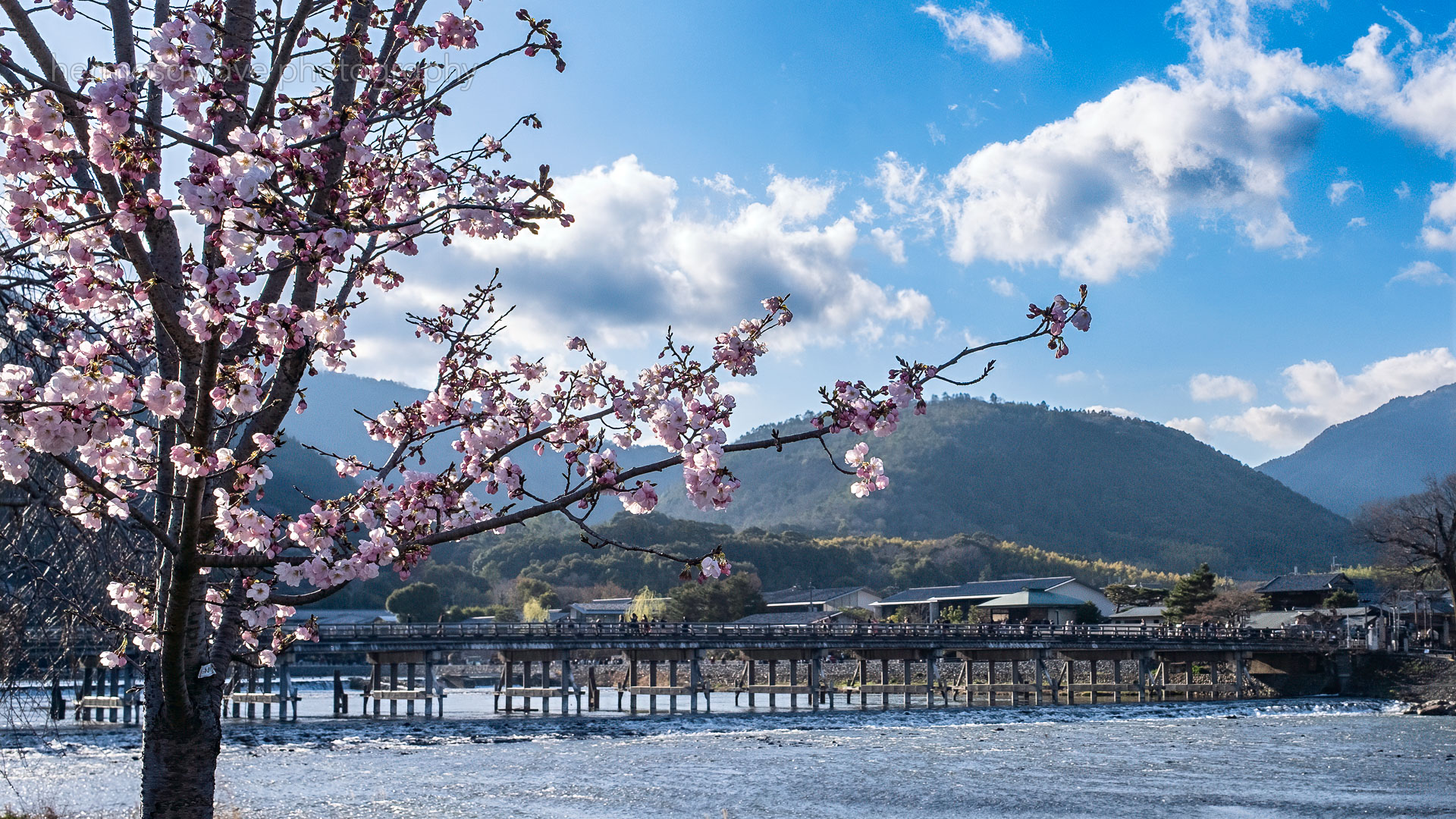 Nakanoshima・中之島