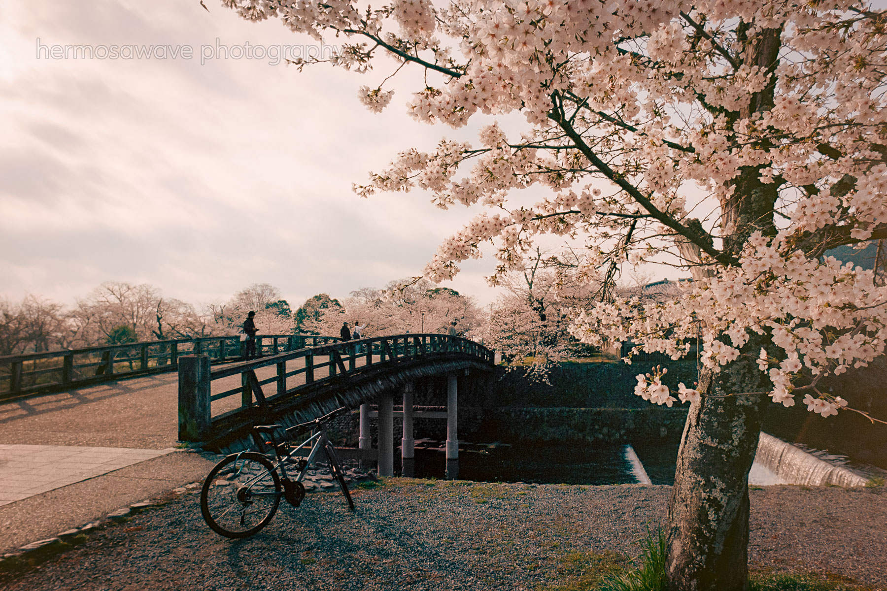 Nakanoshima Bridge・中之島橋