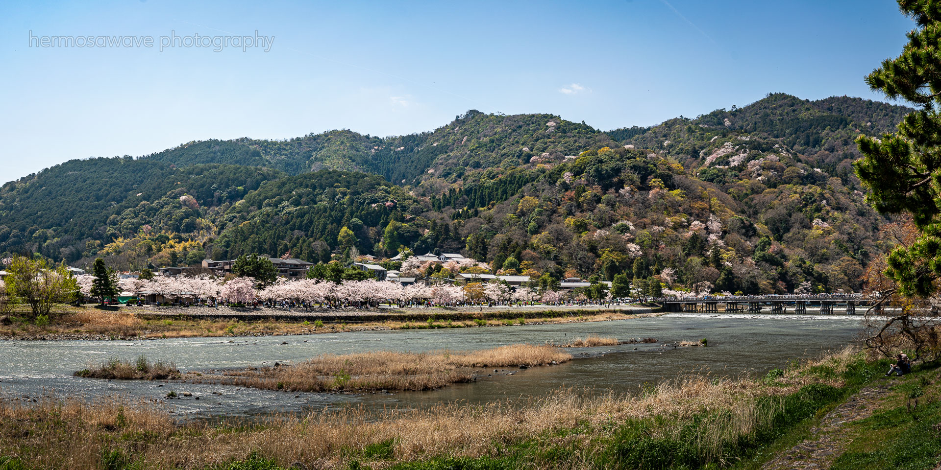 Blooming Mountains・花咲く山