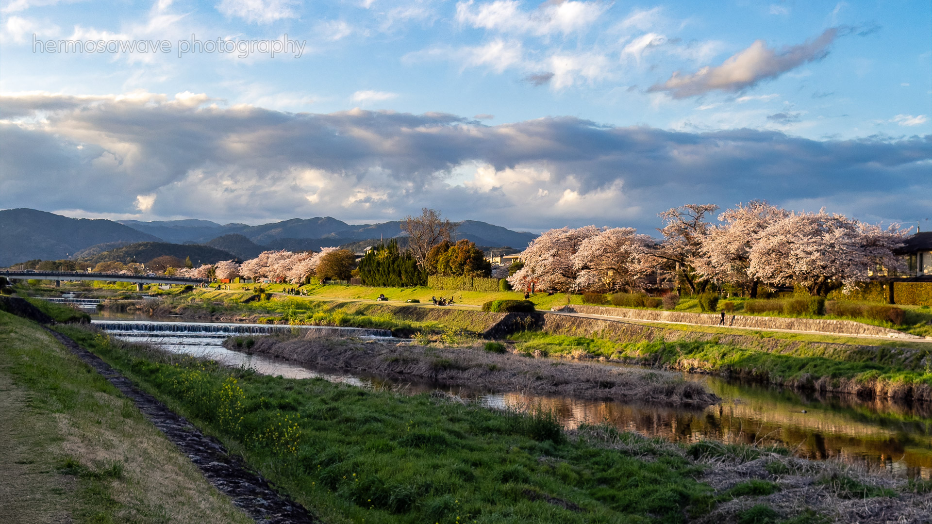 Kamogawa River・賀茂川