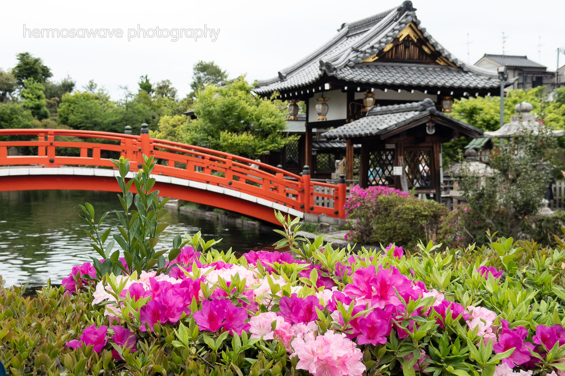 Shinsen-en・神泉苑