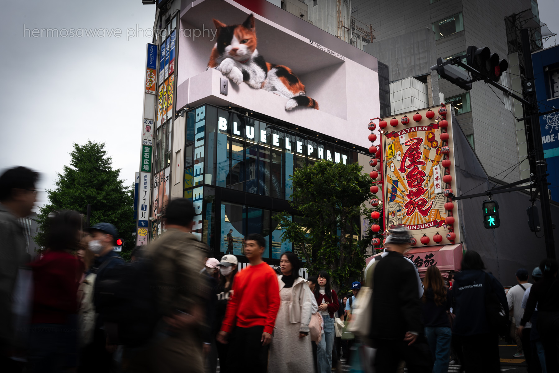 Shinjuku・新宿