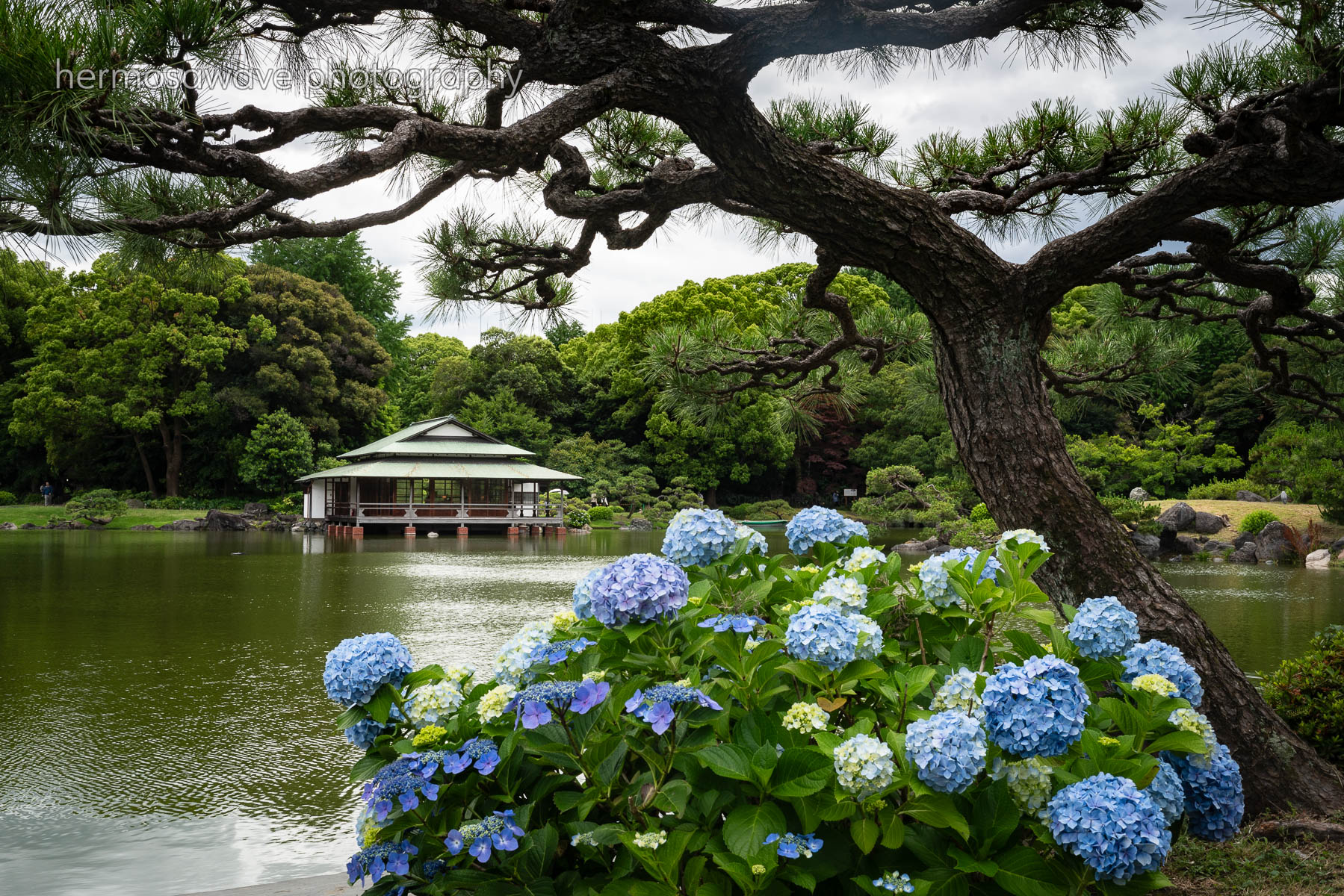 Kiyosumi Gardens・清澄庭園