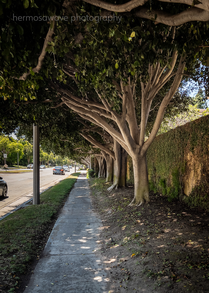 Sidewalk