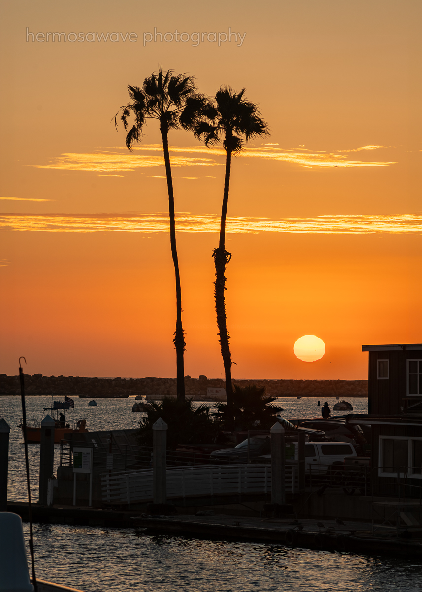 Twin Palm Sunset