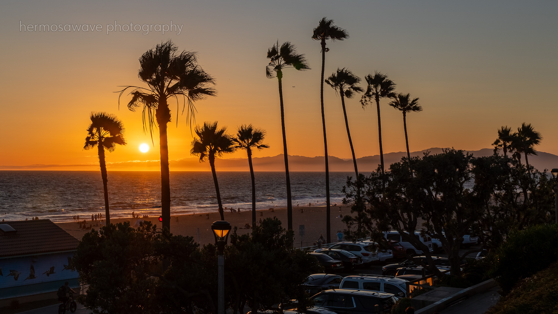 Palm Sunset