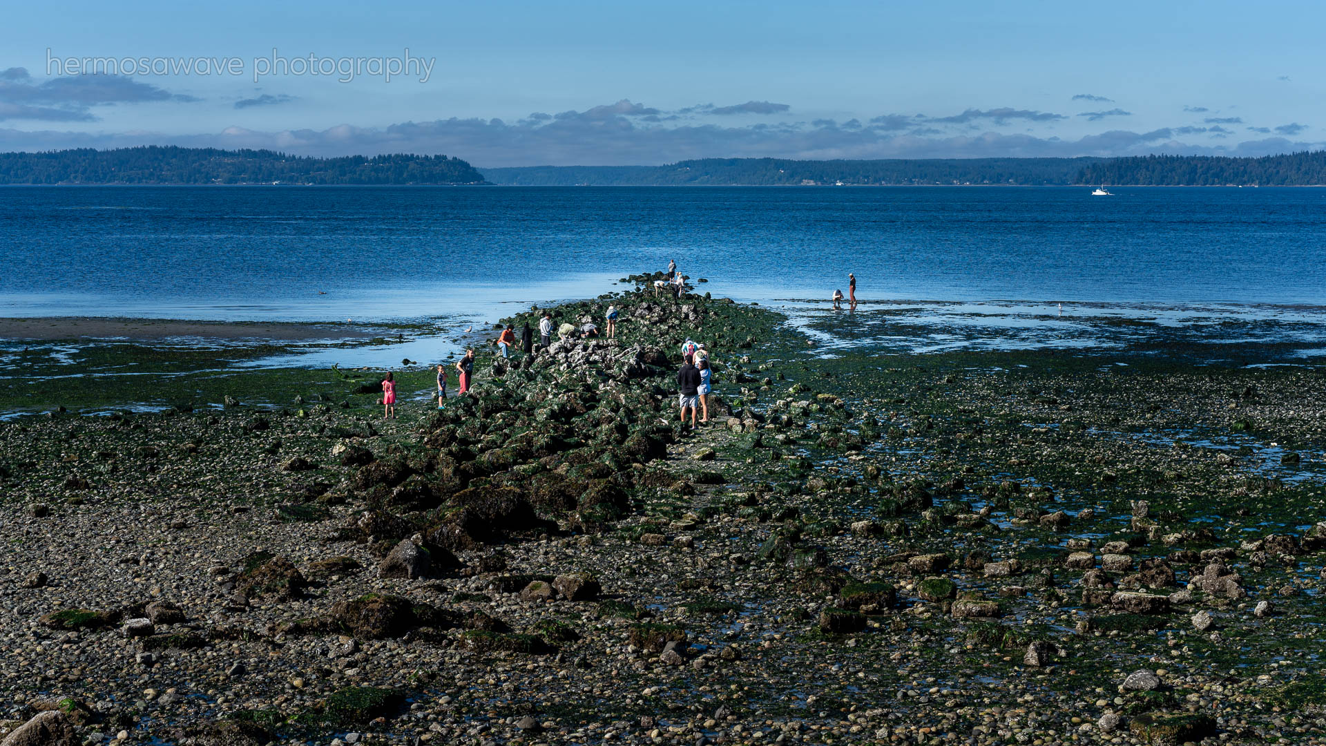 Digging for Starfish