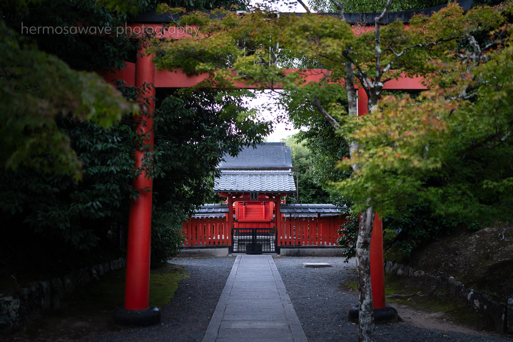 Hachimangu・八幡宮