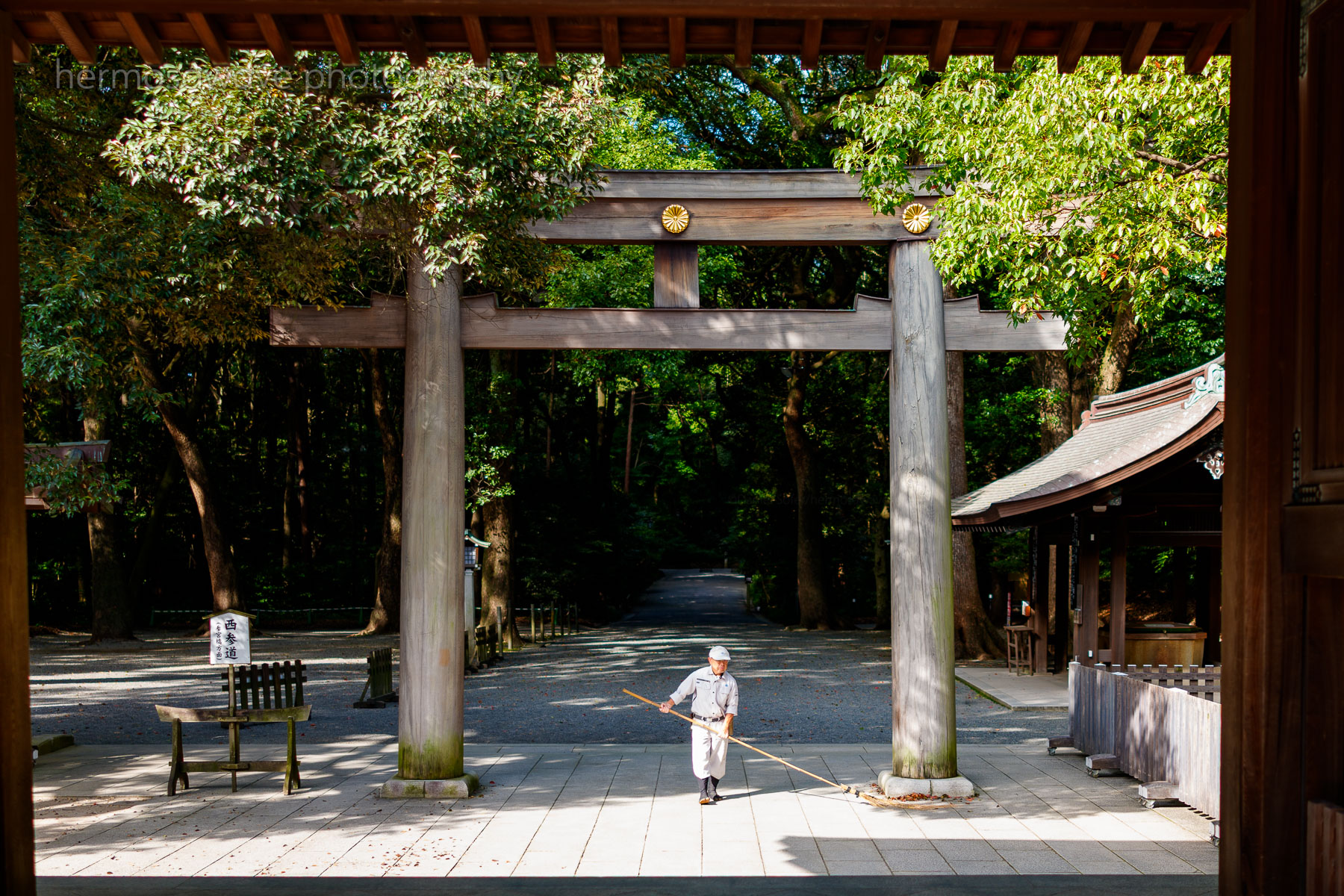 Meiji Jingu・明治神宮
