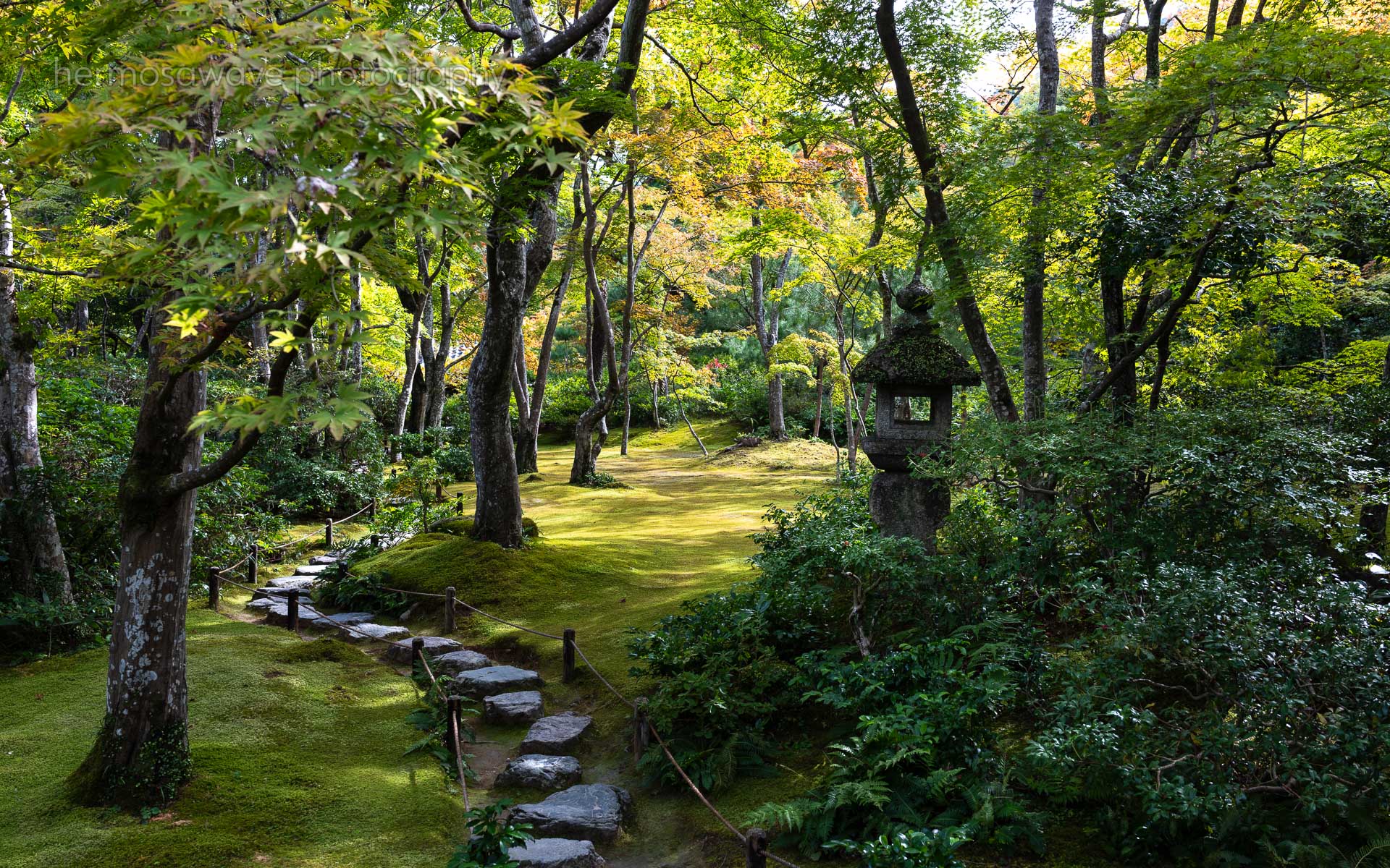 Moss Garden・苔園