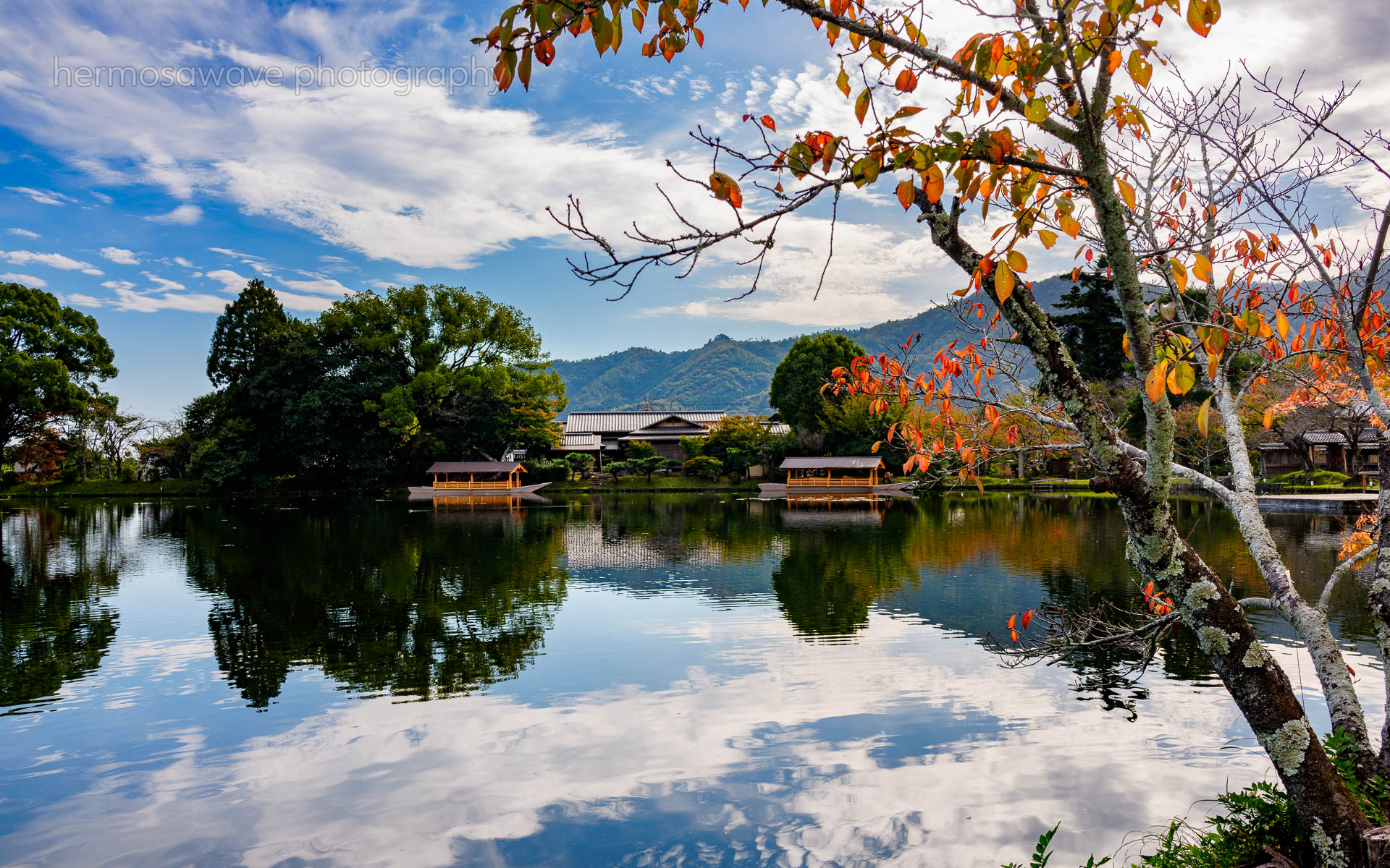 Osawa Pond・大沢池